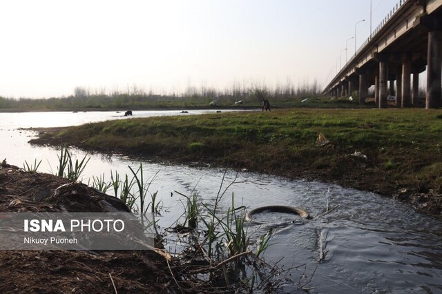 مصائب سفیدرود؛ از صید غیر مجاز تا آلودگی +تصاویر