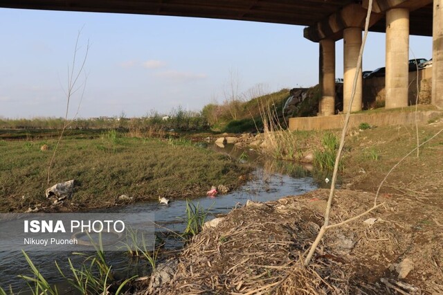 مصائب سفیدرود؛ از صید غیر مجاز تا آلودگی +تصاویر