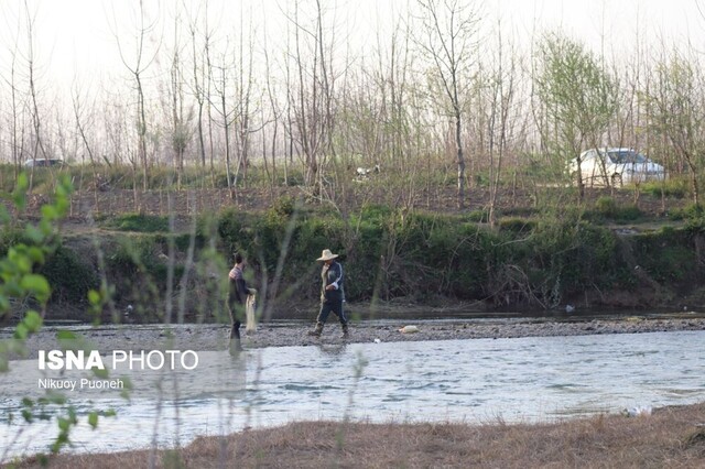 مصائب سفیدرود؛ از صید غیر مجاز تا آلودگی +تصاویر