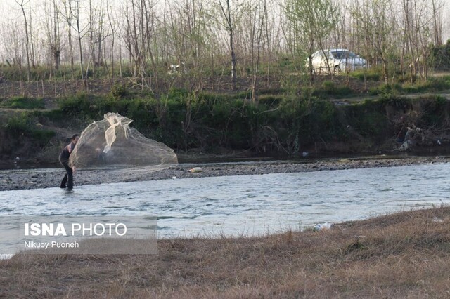 مصائب سفیدرود؛ از صید غیر مجاز تا آلودگی +تصاویر