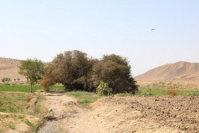 ثبت ۲۰ اثر خراسان شمالی در فهرست آثار ملی ثبت ۲۰ اثر خراسان شمالی در فهرست آثار ملی