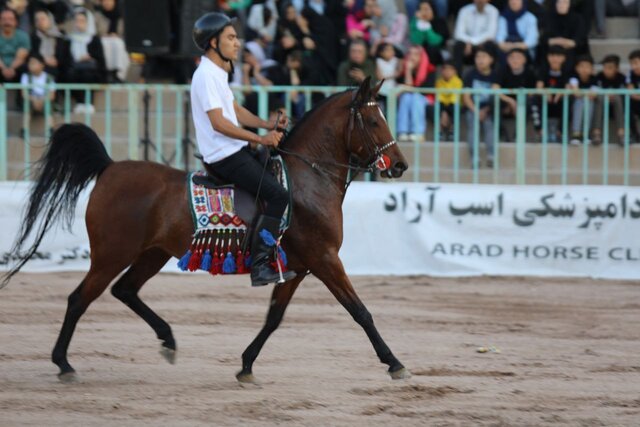 نمایش اسبهای اصیل ایران