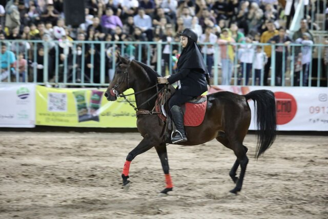 نمایش اسبهای اصیل ایران