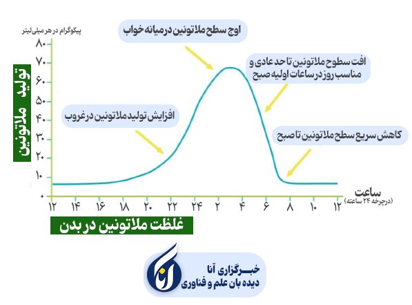 زرد، آبی، بی‌خوابی/ تلفن هوشمند چگونه چرخه زیستی را مختل می‌کند؟