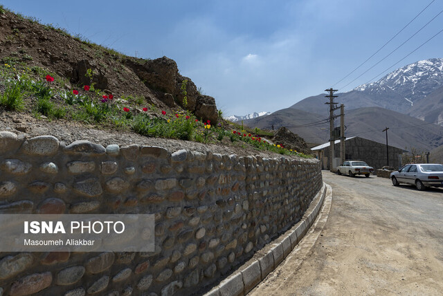 لزوم رعایت الزامات نظام مهندسی و کنترل ساختمان توسط ناظران نظام فنی روستایی در زنجان