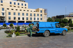 فعالیت کارگران فضای سبز در اصفهان