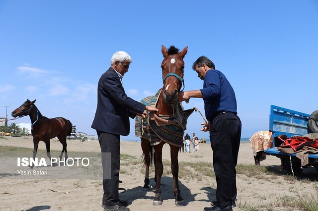 اولین دوره مسابقات اسبدوانی گیلان برگزار شد