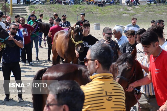 اولین دوره مسابقات اسبدوانی گیلان برگزار شد