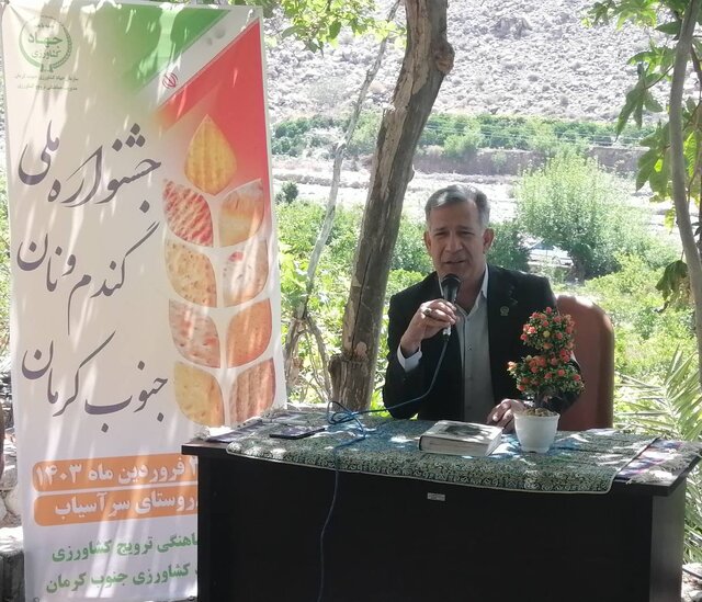 اولین جشنواره گندم و نان جیرفت برگزار شد+ فیلم