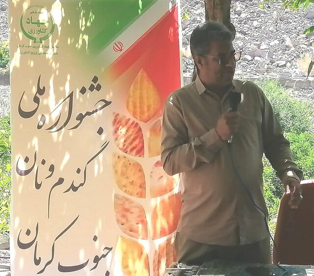 اولین جشنواره گندم و نان جیرفت برگزار شد اولین جشنواره گندم و نان جیرفت برگزار شد