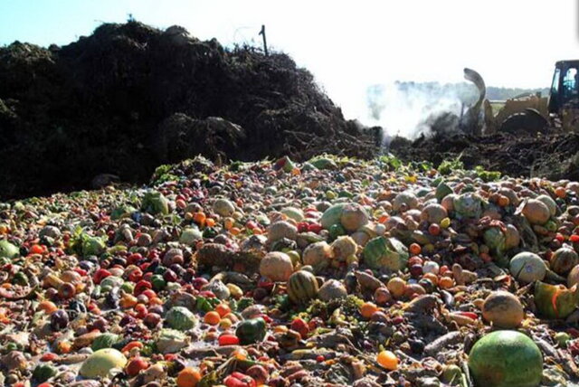 طرحی برای مهربانی با آب و خاک؛ از شکلگیری تاکنون