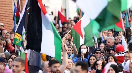 راهپیمایی دهها هزار نفری حمایت از فلسطین در دوبلین