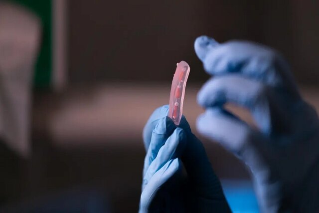 عکس تزئینی است آخرین مهلت ثبتنام در فراخوان ساخت پرایمر با خاصیت چسبندگی