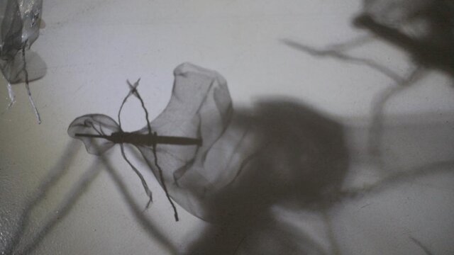 هجوم پشههای فلزی به یک نمایشگاه