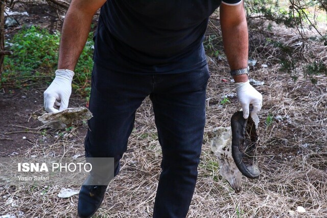 فقط یک زمین داریم