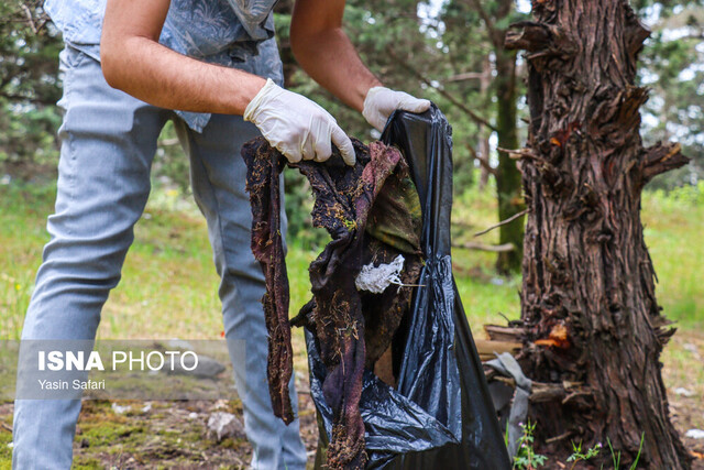 عکس آرشیوی است. زمین پاک یکی از ارکان مهم محیط زیست است