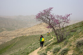 دره چریک درگز - استان خراسان رضوی