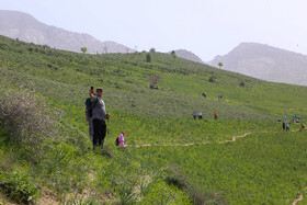 گردشگران دردره چریک درگز - استان خراسان رضوی