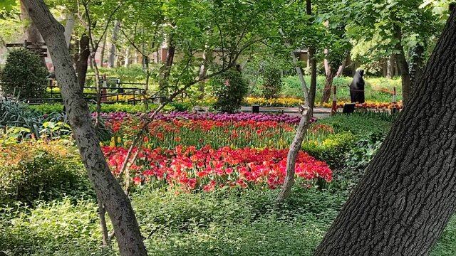 طراحی ۹ بوستان تهران با معماری ایرانی-اسلامی/ افزایش سرانه فضای سبز در مناطق کم برخوردار پایتخت