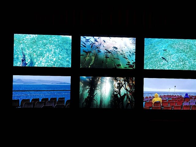 دوسالانه هنر ونیز، المپیک هنرهای تجسمی جهان است