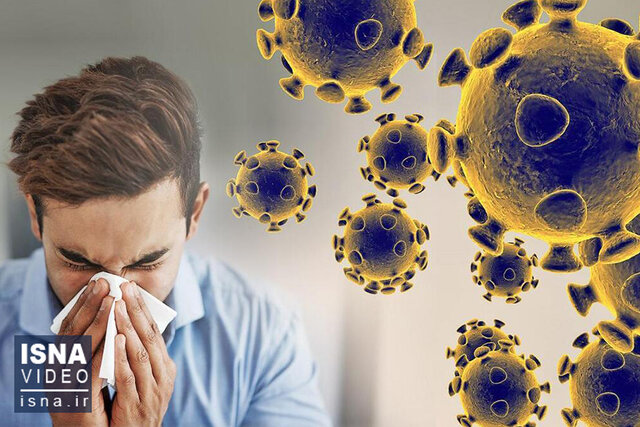 ویدیو/ هشدار دانشمندان؛ همهگیری آنفلوانزا در جهان ویدیو/ هشدار دانشمندان؛ همهگیری آنفلوانزا در جهان