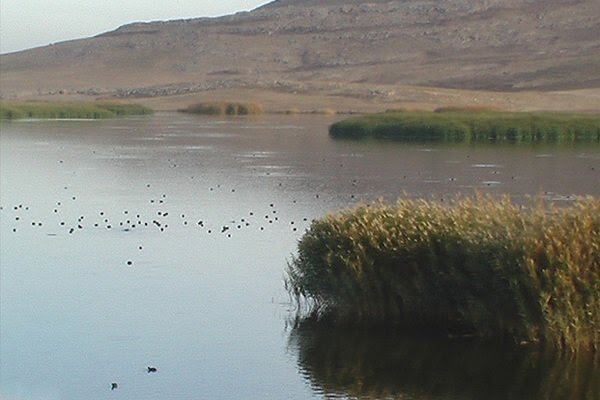 آبگیری بخشی از تالاب جازموریان در پی بارندگیهای اخیر آبگیری بخشی از تالاب جازموریان در پی بارندگیهای اخیر