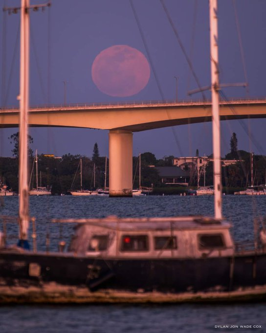 تصاویری خیرهکننده از «ماه صورتی» در سراسر جهان