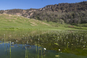 ارتفاعات برفچال، شهرستان مینودشت - استان گلستان