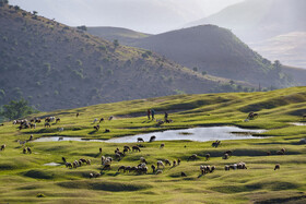 ارتفاعات برفچال، شهرستان مینودشت - استان گلستان