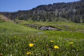 ارتفاعات برفچال، شهرستان مینودشت - استان گلستان