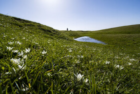 ارتفاعات برفچال، شهرستان مینودشت - استان گلستان