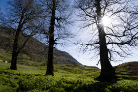 ارتفاعات برفچال، شهرستان مینودشت - استان گلستان