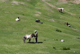 ارتفاعات برفچال، شهرستان مینودشت - استان گلستان