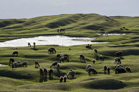 ارتفاعات برفچال، شهرستان مینودشت - استان گلستان
