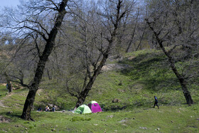 ارتفاعات برفچال، شهرستان مینودشت - استان گلستان