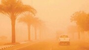 خطر بازگشت ریزگردها به خوزستان جدی است/ کمبود نیرو و تجهیزات اطفای حریق از چالش‌هاست