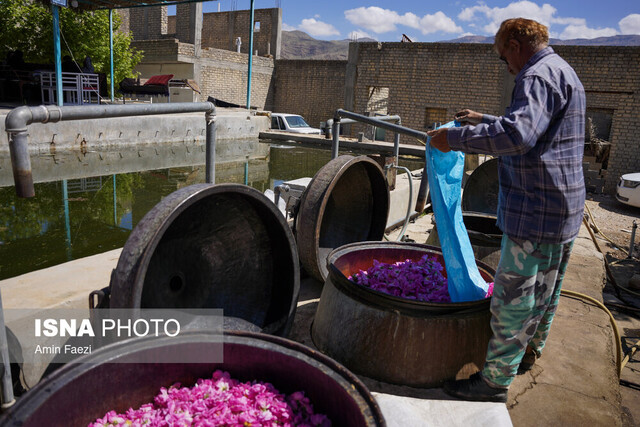 میتوان با ارزآوری حاصل از گُل در برابر صادرات نفت افق گشایی کرد
