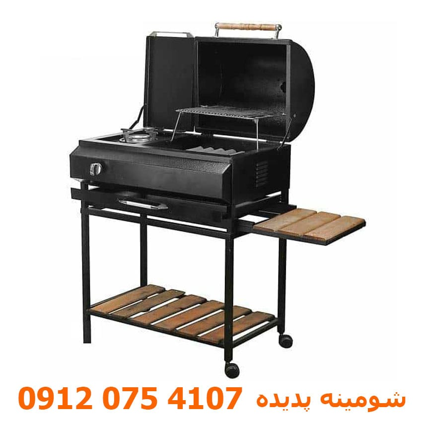 نکات مهم قبل از انتخاب و خرید بهترین باربیکیوها