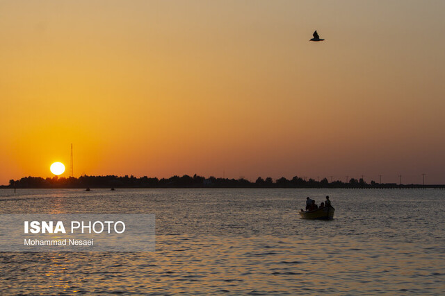 درخواست اقدام فوری استاندار گلستان برای نجات خلیج گرگان درخواست اقدام فوری استاندار گلستان برای نجات خلیج گرگان