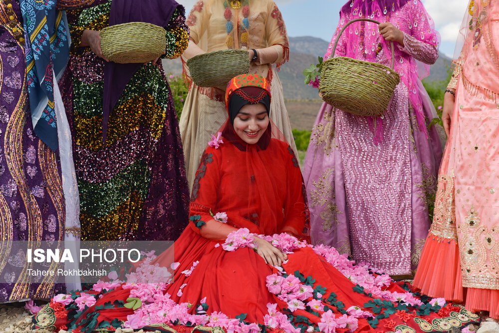 جشنواره گل و گلابگیری میمند - استان فارس
