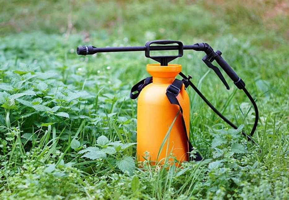 آشنایی با انواع سم پاش و مناسبترین برای سمپاشی بهاره