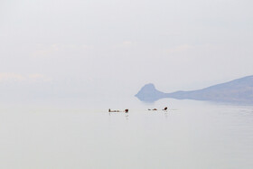  ساحل پرآب دریاچه ارومیه 