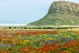  ساحل پرآب دریاچه ارومیه 