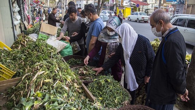 تزئین سفره ارگانیک این روزهای کردستانیها با گیاهان کوهستانی