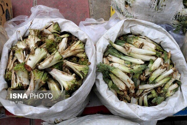 تزئین سفره ارگانیک این روزهای کردستانیها با گیاهان کوهستانی