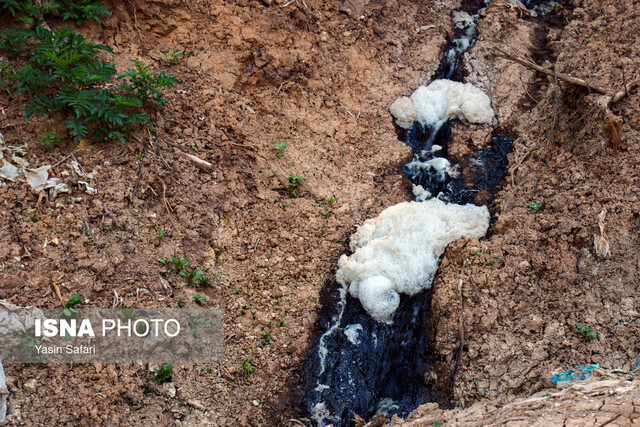 دستور شهید جمهور برای رفع ابرچالش گیلان + ویدئو