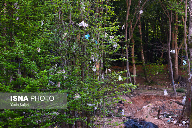 دستور شهید جمهور برای رفع ابرچالش گیلان + ویدئو