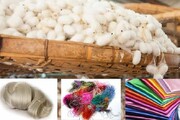 در اختیار قرار دادن فناوری به صنعت نوغانداری خراسان شمالی با هوشمندسازی روستای دویدوخ