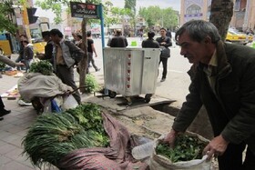 داروخانه‌هایی سبز در حاشیه خیابان‌ها!