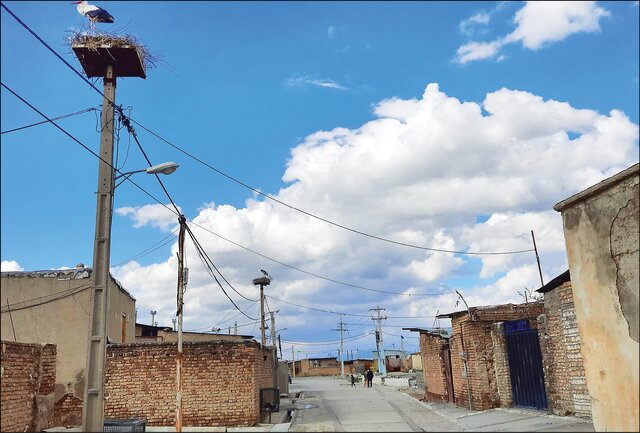 روستایی که سهم لکلکها شد